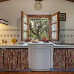 Le Vigne