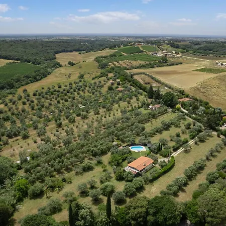 Le Vigne * Bibbona