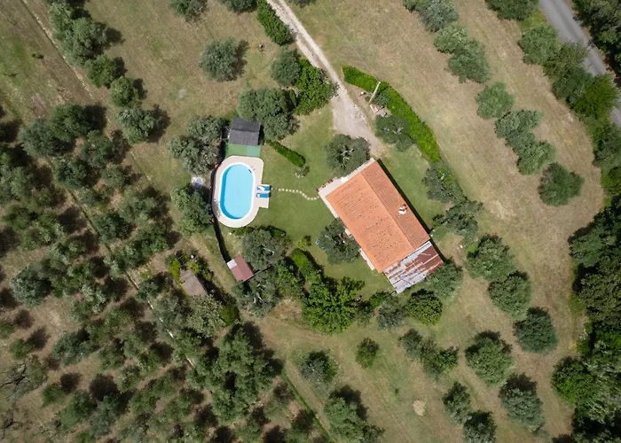 Le Vigne Villa Bibbona